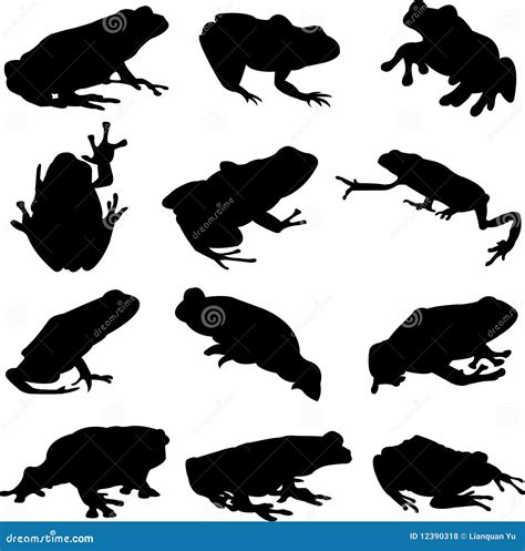 Carnivores Around The World 2025 𝚆𝚊𝚝𝚌𝚑 Now
