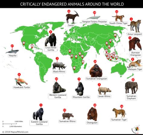 A World Of Endangered Animals 2025 𝚆𝚊𝚝𝚌𝚑 Online Without Signing Up
