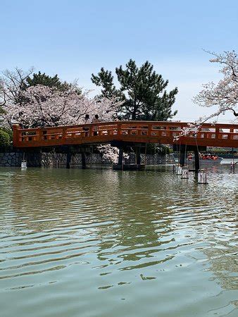 Kyuka: Before Summer's End 2025